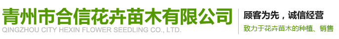 爱游戏下载安装